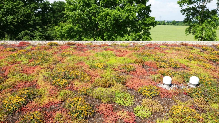 Dachbegrünung – Osbahr